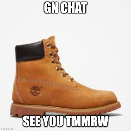 gn | GN CHAT; SEE YOU TMMRW | image tagged in tim | made w/ Imgflip meme maker