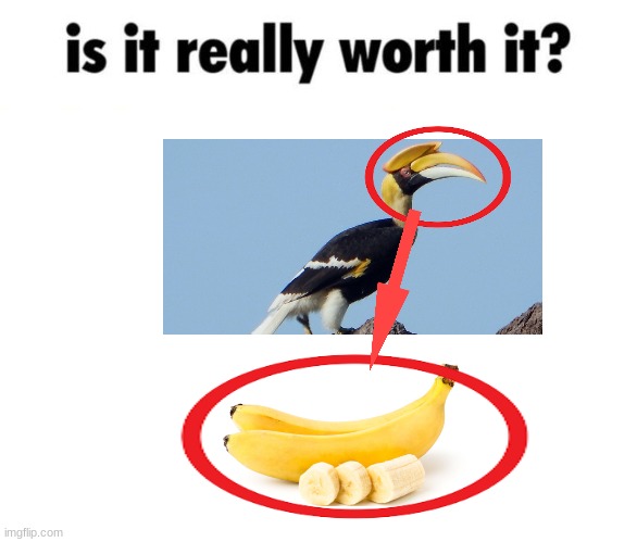 is it really worth it??? stop the animal cruelty!!!!! | image tagged in is it really worth it,animals,sad,birds,food | made w/ Imgflip meme maker