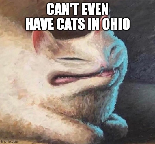 :,( | CAN'T EVEN HAVE CATS IN OHIO | image tagged in cursed cat painting | made w/ Imgflip meme maker