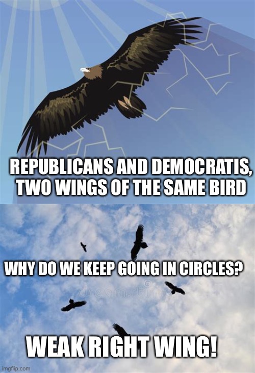 Two wings of the same bird |  REPUBLICANS AND DEMOCRATIS, TWO WINGS OF THE SAME BIRD; WHY DO WE KEEP GOING IN CIRCLES? WEAK RIGHT WING! | image tagged in republicans,democrats | made w/ Imgflip meme maker