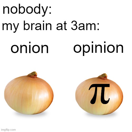 like what is wrong with my brain | nobody:; my brain at 3am:; onion; opinion | image tagged in onion | made w/ Imgflip meme maker