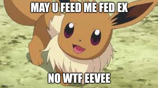Eevee | MAY U FEED ME FED EX; NO WTF EEVEE | image tagged in eevee | made w/ Imgflip meme maker