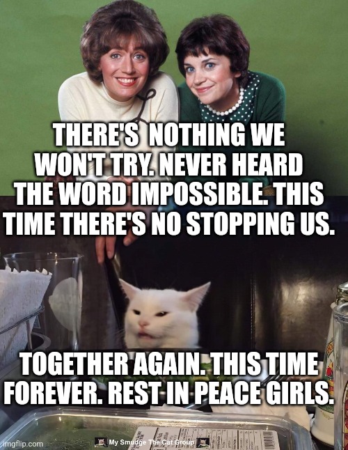 THERE'S  NOTHING WE WON'T TRY. NEVER HEARD THE WORD IMPOSSIBLE. THIS TIME THERE'S NO STOPPING US. TOGETHER AGAIN. THIS TIME FOREVER. REST IN PEACE GIRLS. | image tagged in smudge the cat | made w/ Imgflip meme maker