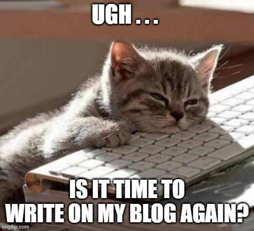 Tired Cat Blogger | UGH . . . IS IT TIME TO WRITE ON MY BLOG AGAIN? | image tagged in tired cat,blogging,computer keyboard | made w/ Imgflip meme maker