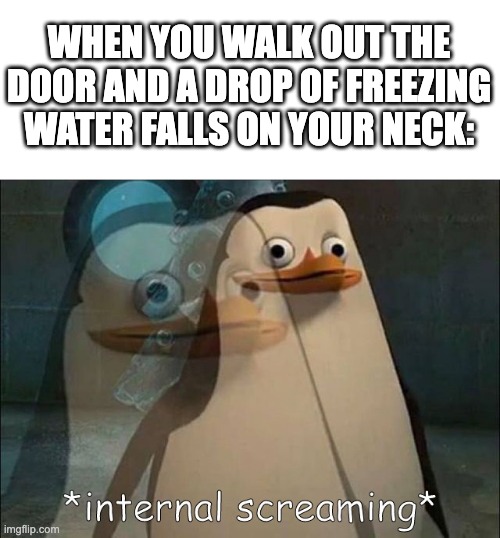 For real tho | WHEN YOU WALK OUT THE DOOR AND A DROP OF FREEZING WATER FALLS ON YOUR NECK: | image tagged in private internal screaming | made w/ Imgflip meme maker
