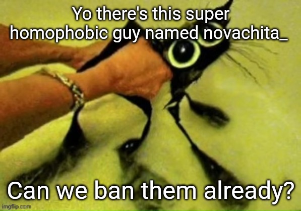 Their such an asshole (SF note: on it) | Yo there's this super homophobic guy named novachita_; Can we ban them already? | made w/ Imgflip meme maker
