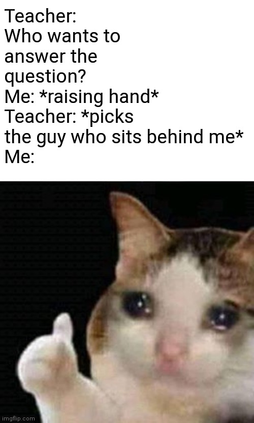 sad thumbs up cat |  Teacher: Who wants to answer the question?
Me: *raising hand*
Teacher: *picks the guy who sits behind me*
Me: | image tagged in sad thumbs up cat | made w/ Imgflip meme maker