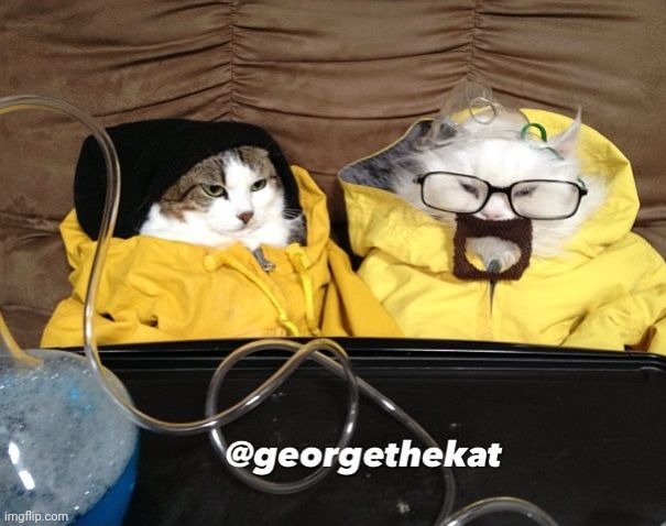 кот | made w/ Imgflip meme maker