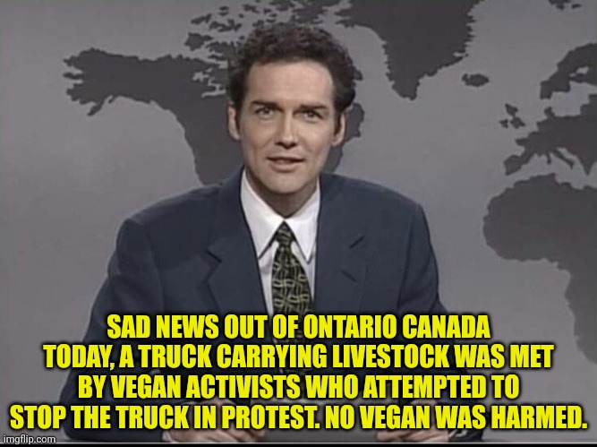 Sad Vegan News |  SAD NEWS OUT OF ONTARIO CANADA TODAY, A TRUCK CARRYING LIVESTOCK WAS MET BY VEGAN ACTIVISTS WHO ATTEMPTED TO STOP THE TRUCK IN PROTEST. NO VEGAN WAS HARMED. | image tagged in weekend update with norm,sad,vegan,news,canada | made w/ Imgflip meme maker