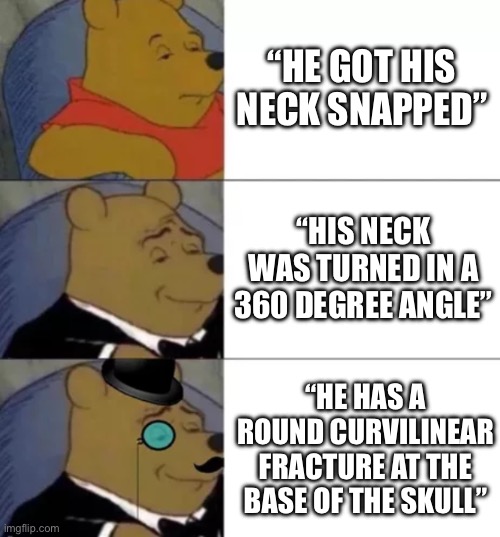Scp secret laboratory | “HE GOT HIS NECK SNAPPED”; “HIS NECK WAS TURNED IN A 360 DEGREE ANGLE”; “HE HAS A ROUND CURVILINEAR FRACTURE AT THE BASE OF THE SKULL” | image tagged in fancy pooh | made w/ Imgflip meme maker