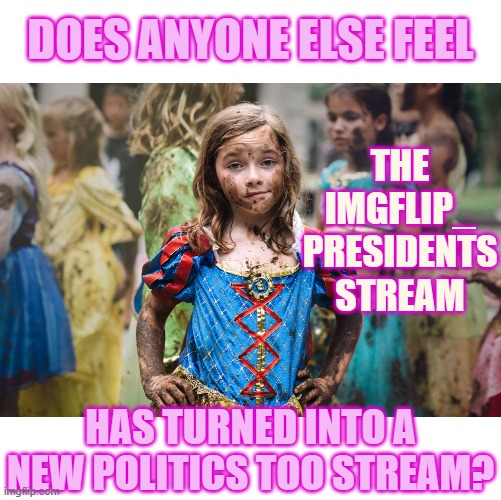 Hey... | DOES ANYONE ELSE FEEL; THE IMGFLIP_ PRESIDENTS STREAM; HAS TURNED INTO A NEW POLITICS TOO STREAM? | image tagged in memes,politics,presidents,stream,new,politicstoo | made w/ Imgflip meme maker