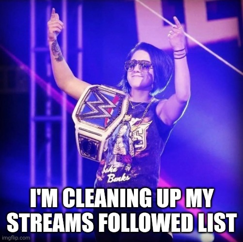 Bayley | I'M CLEANING UP MY STREAMS FOLLOWED LIST | image tagged in bayley | made w/ Imgflip meme maker