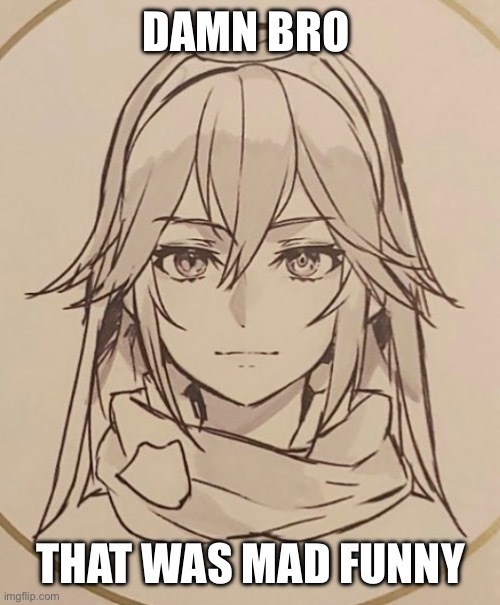 New Lucina image gave me this vibe | DAMN BRO; THAT WAS MAD FUNNY | image tagged in fire emblem,smash bros,nintendo | made w/ Imgflip meme maker