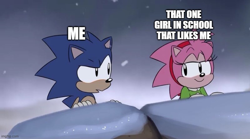 real moment | THAT ONE GIRL IN SCHOOL THAT LIKES ME; ME | image tagged in sonic and amy christmas special | made w/ Imgflip meme maker