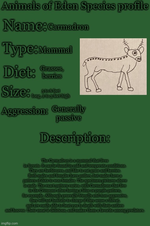 I discovered it while documenting some plants in the Crimsons | Carmadron; Mammal; Grasses, berries; 5 to 6 feet long, 2 to 3 feet high; Generally passive; The Carmadron is a mammal that lives in forests. It can be found in cold and temperate conditions. They are herbivores, and like to eat grass and berries. Both males and females have antlers, but males have a pattern of dots to woo females. The specimen pictures above is male. The exact pattern varies, with Carmadrons that live in the Crimsons often having a blue or purple pattern, for example. Although generally friendly and non-aggressive, they will not hesitate to charge if they sense a threat, and are easily able to beat you to death with their antlers and hooves. Their meat is delicious, and makes them a favorite among predators. | image tagged in animals of eden species profile | made w/ Imgflip meme maker