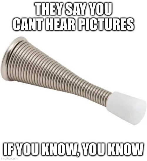 Door stopper | THEY SAY YOU CANT HEAR PICTURES; IF YOU KNOW, YOU KNOW | image tagged in relatable,door,stop,hearing,image | made w/ Imgflip meme maker