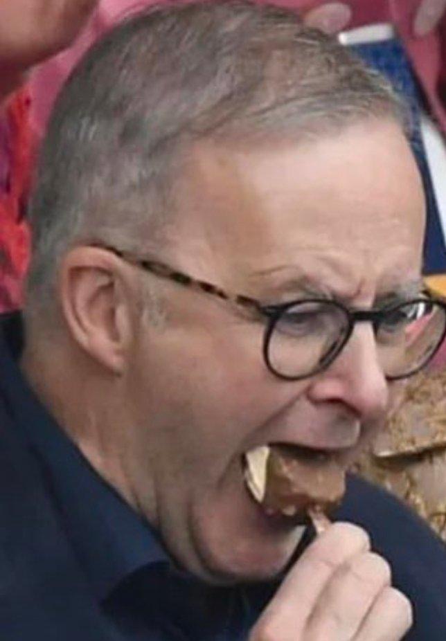 High Quality Anthony Albanese Sucking On An Icecream Blank Meme Template