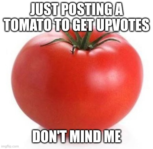 give me the tomato - Imgflip