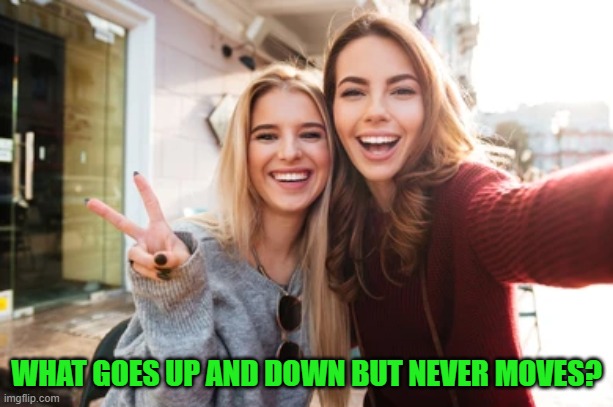 WHAT GOES UP AND DOWN BUT NEVER MOVES? | image tagged in riddle | made w/ Imgflip meme maker