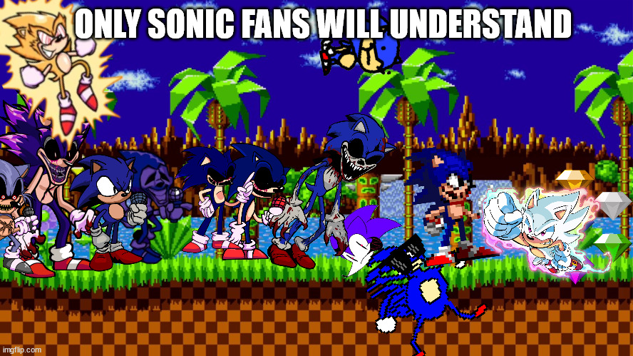 sonic fans now | ONLY SONIC FANS WILL UNDERSTAND | image tagged in green hill zone | made w/ Imgflip meme maker