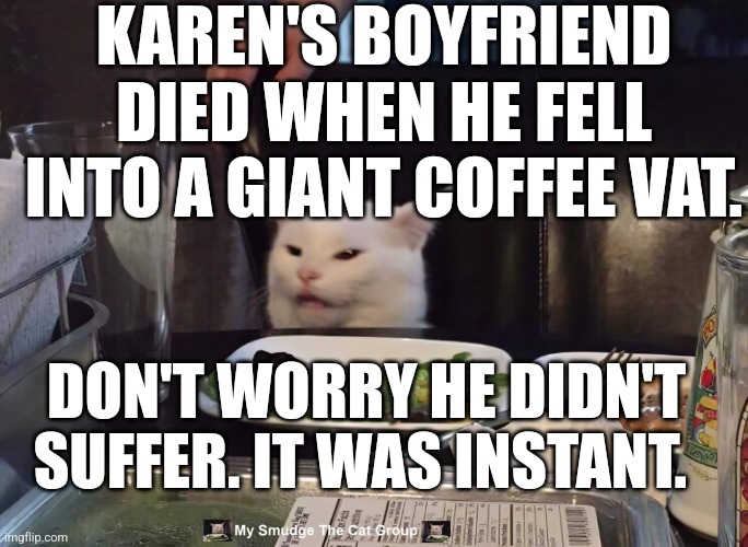 KAREN'S BOYFRIEND DIED WHEN HE FELL INTO A GIANT COFFEE VAT. DON'T WORRY HE DIDN'T SUFFER. IT WAS INSTANT. | image tagged in smudge the cat,funny memes | made w/ Imgflip meme maker