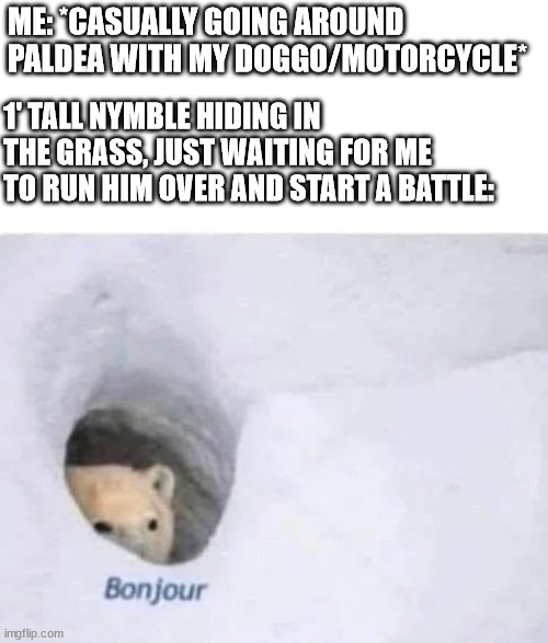 Bonjour | ME: *CASUALLY GOING AROUND PALDEA WITH MY DOGGO/MOTORCYCLE* 1' TALL NYMBLE HIDING IN THE GRASS, JUST WAITING FOR ME TO RUN HIM OVER AND STAR | image tagged in bonjour | made w/ Imgflip meme maker