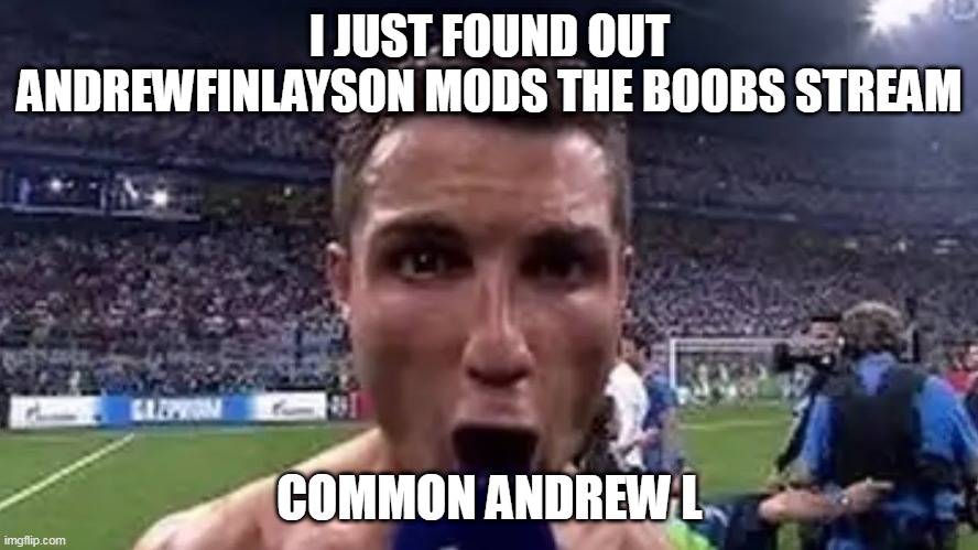 owns it* | I JUST FOUND OUT ANDREWFINLAYSON MODS THE BOOBS STREAM; COMMON ANDREW L | image tagged in siuuu | made w/ Imgflip meme maker