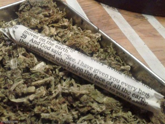 bible paper marijuana | image tagged in bible paper marijuana | made w/ Imgflip meme maker
