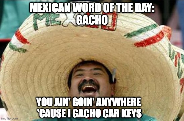 mexican word of the day | MEXICAN WORD OF THE DAY:
GACHO; YOU AIN' GOIN' ANYWHERE 
'CAUSE I GACHO CAR KEYS | image tagged in mexican word of the day | made w/ Imgflip meme maker
