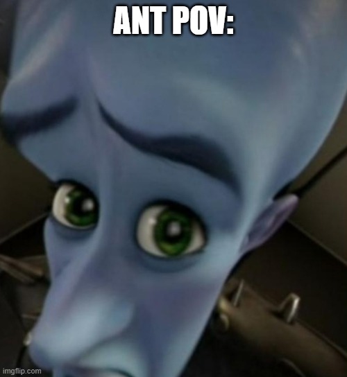 ant pov | ANT POV: | image tagged in megamind no bitches,memes,fun | made w/ Imgflip meme maker