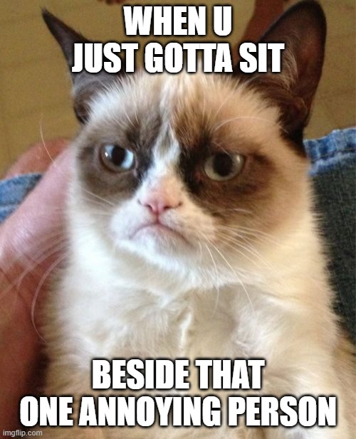 Grumpy Cat | WHEN U JUST GOTTA SIT; BESIDE THAT ONE ANNOYING PERSON | image tagged in memes,grumpy cat | made w/ Imgflip meme maker
