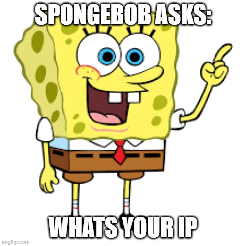 wow spongebob didnt know you would ask this kinds of questions | SPONGEBOB ASKS:; WHATS YOUR IP | image tagged in spongebob,question | made w/ Imgflip meme maker