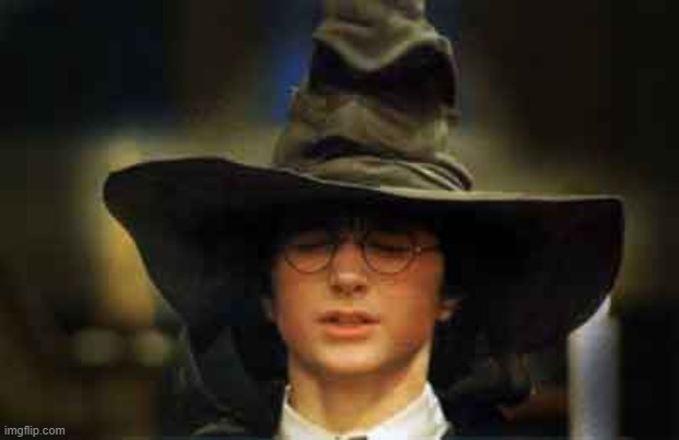 Harry Potter sorting hat | image tagged in harry potter sorting hat | made w/ Imgflip meme maker