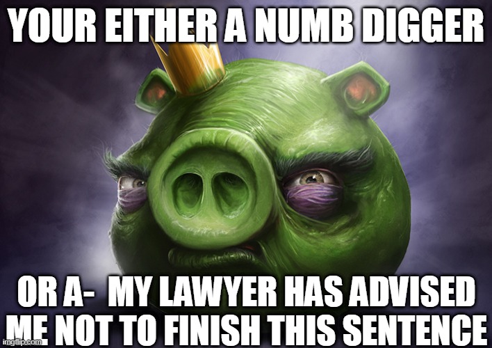 angry birds meme | YOUR EITHER A NUMB DIGGER; OR A-  MY LAWYER HAS ADVISED ME NOT TO FINISH THIS SENTENCE | image tagged in angry birds meme | made w/ Imgflip meme maker