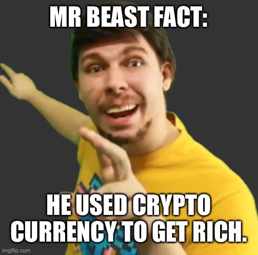 Mr. Beast (Skitzy) Pointing | MR BEAST FACT:; HE USED CRYPTO CURRENCY TO GET RICH. | image tagged in mr beast skitzy pointing | made w/ Imgflip meme maker