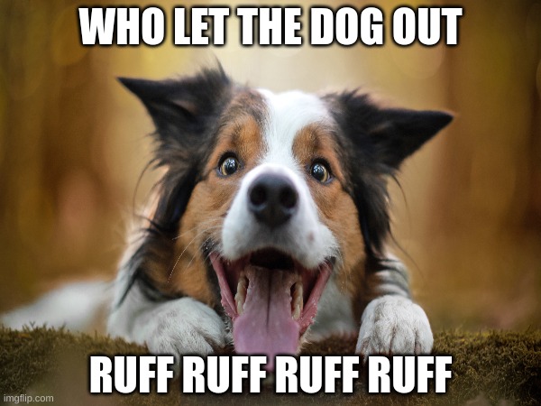 Dogs out | WHO LET THE DOG OUT; RUFF RUFF RUFF RUFF | made w/ Imgflip meme maker