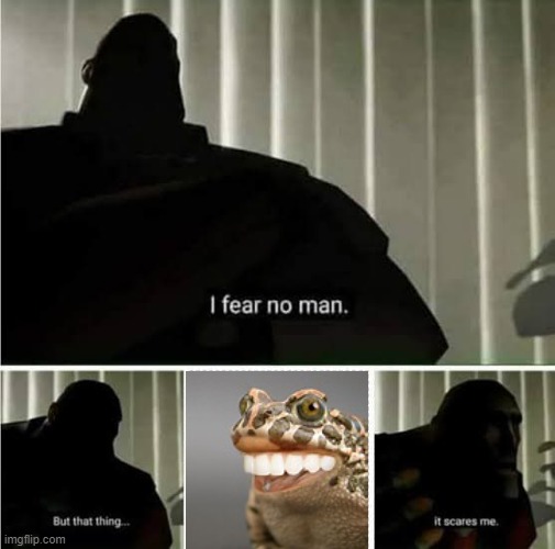 Toothy frog | image tagged in i fear no man | made w/ Imgflip meme maker