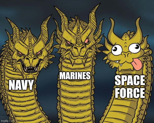 why why why | MARINES; SPACE FORCE; NAVY | image tagged in three-headed dragon,fun | made w/ Imgflip meme maker