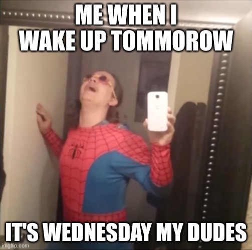 It's Wednesday my dudes | ME WHEN I WAKE UP TOMMOROW; IT'S WEDNESDAY MY DUDES | image tagged in it's wednesday my dudes | made w/ Imgflip meme maker