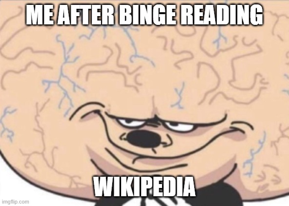 Now that's a lot of knowledge! | ME AFTER BINGE READING; WIKIPEDIA | image tagged in big brain mickey | made w/ Imgflip meme maker