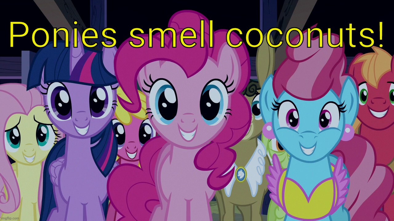 Cute Ponies (MLP) | Ponies smell coconuts! | image tagged in cute ponies mlp | made w/ Imgflip meme maker