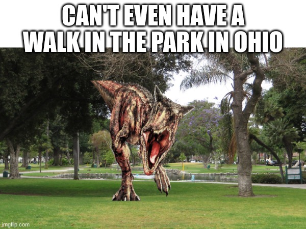 Why | CAN'T EVEN HAVE A WALK IN THE PARK IN OHIO | image tagged in only in ohio,dinosaurs,dinosaur,ohio | made w/ Imgflip meme maker