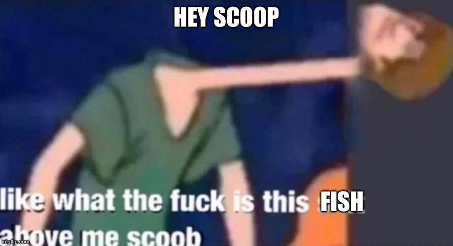 what is this above me | HEY SCOOP FISH | image tagged in what is this above me | made w/ Imgflip meme maker