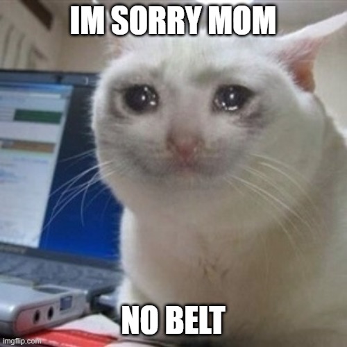 Crying cat | IM SORRY MOM NO BELT | image tagged in crying cat | made w/ Imgflip meme maker