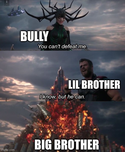 does anyone save their siblings? | BULLY; LIL BROTHER; BIG BROTHER | image tagged in you can't defeat me,funny memes | made w/ Imgflip meme maker