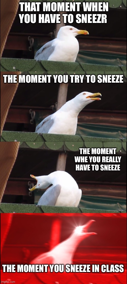 Inhaling Seagull | THAT MOMENT WHEN YOU HAVE TO SNEEZR; THE MOMENT YOU TRY TO SNEEZE; THE MOMENT WHE YOU REALLY HAVE TO SNEEZE; THE MOMENT YOU SNEEZE IN CLASS | image tagged in memes,inhaling seagull | made w/ Imgflip meme maker