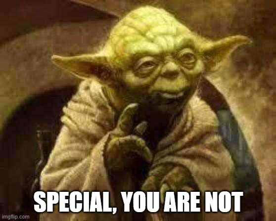 Special, you are not | SPECIAL, YOU ARE NOT | image tagged in star wars yoda | made w/ Imgflip meme maker