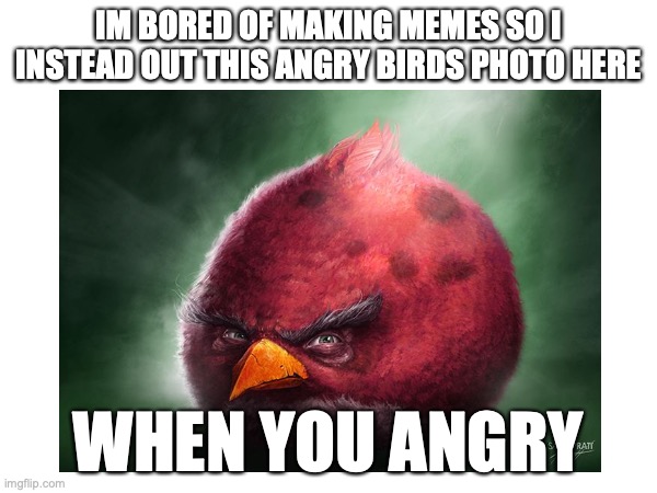 im was bored ok? |  IM BORED OF MAKING MEMES SO I INSTEAD OUT THIS ANGRY BIRDS PHOTO HERE; WHEN YOU ANGRY | image tagged in birds,games,funny memes | made w/ Imgflip meme maker