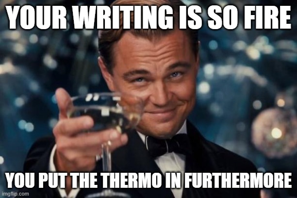Leonardo Dicaprio Cheers | YOUR WRITING IS SO FIRE; YOU PUT THE THERMO IN FURTHERMORE | image tagged in memes,leonardo dicaprio cheers | made w/ Imgflip meme maker