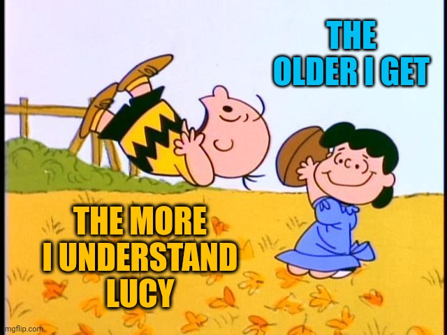 Blockheads.  That's Why | THE OLDER I GET; THE MORE
I UNDERSTAND
LUCY | image tagged in charlie brown football,blockhead,people,ugh that's why,memes,i love lucy | made w/ Imgflip meme maker